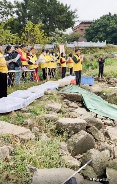 钓鱼遇上放生的人,钓鱼遇放生人视频