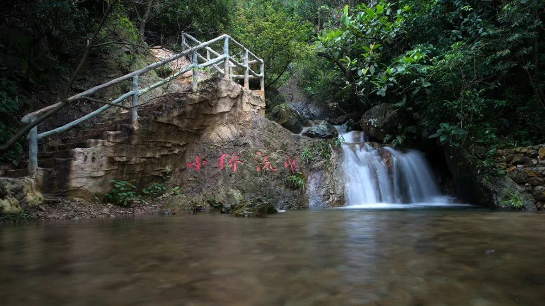 旅游年卡飞熊乐园,水上乐园年卡团购限几人