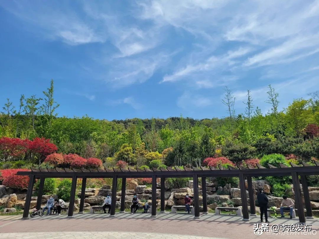 绿荫的夏天，快来解锁李沧这个小众宝藏之地！