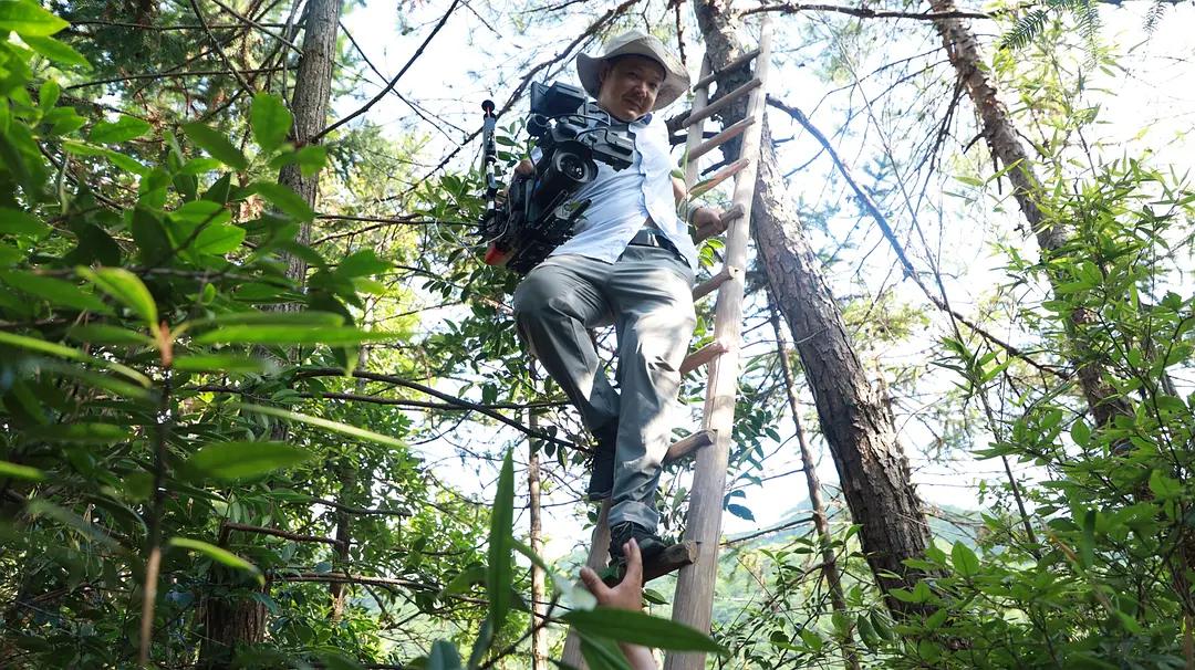 巨蟒流落荒岛,无人荒岛上的巨蟒
