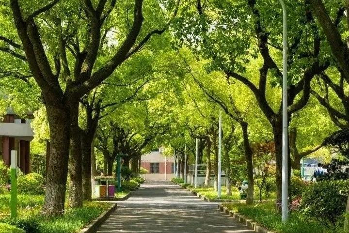 特色高中、生态科研，上海师大二附中的教育崛起之路