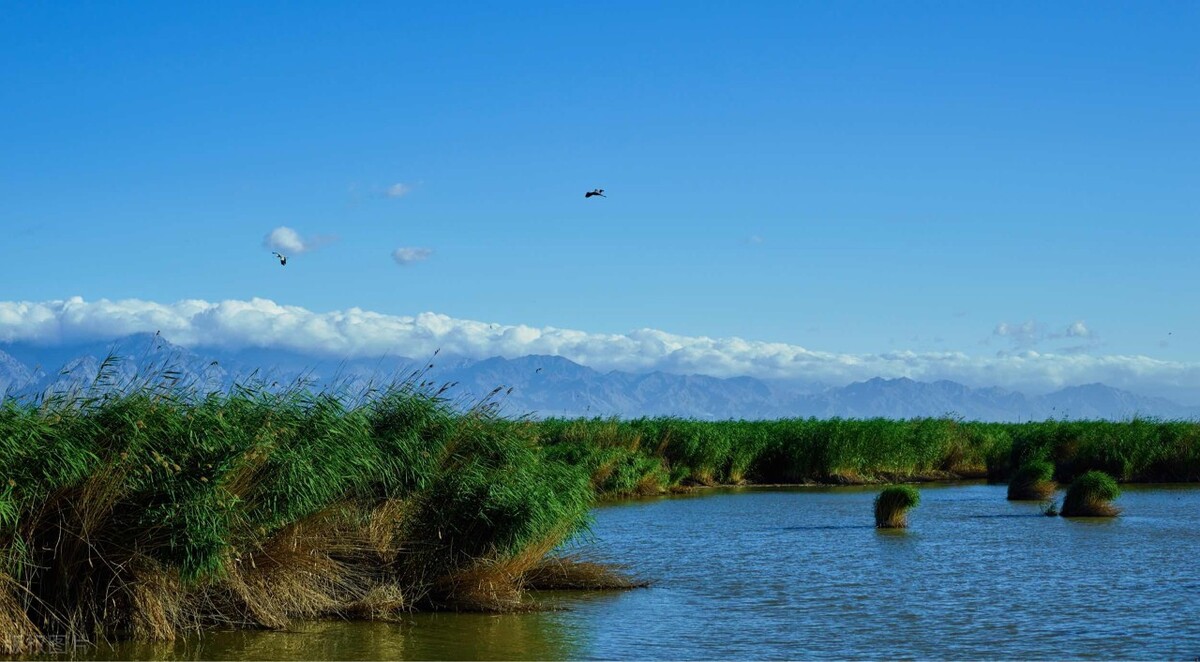 不留遗憾！很适合女性自驾的12个目的地，没去过的争取每年去2个