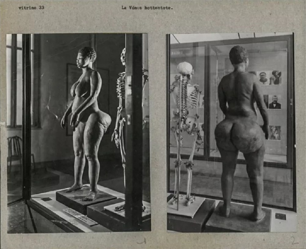 南非女孩巴特曼：被当做动物供欧洲人观赏，死后被制成标本