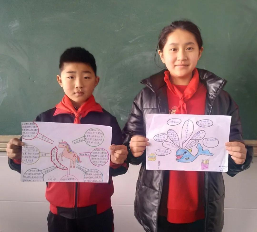 小学思维导图活动方案,小学生开展思维导图活动总结