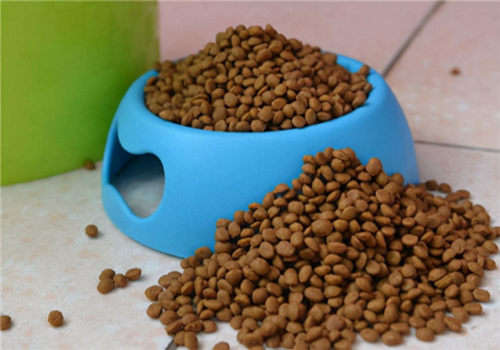 幼犬吃什么好不吃狗粮,幼犬刚到家不吃狗粮应该怎么喂