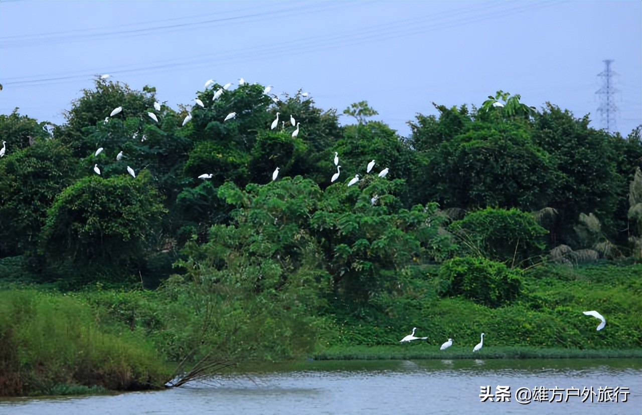 佛山花海旅游推荐,佛山花海生态公园