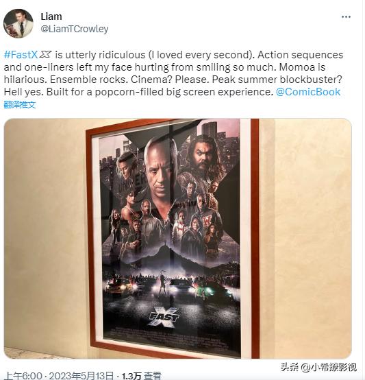 脸都笑痛,《速10》影评人评价出炉,是夸张愚蠢还是动作大片?