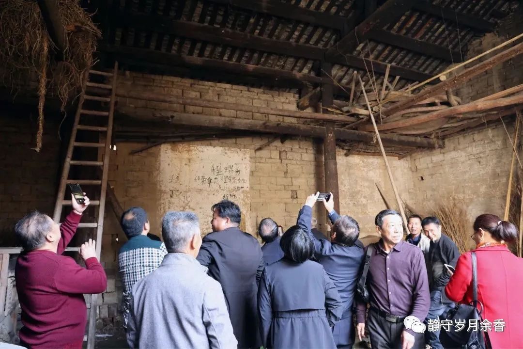 樱子视频大全,樱子挖野菜