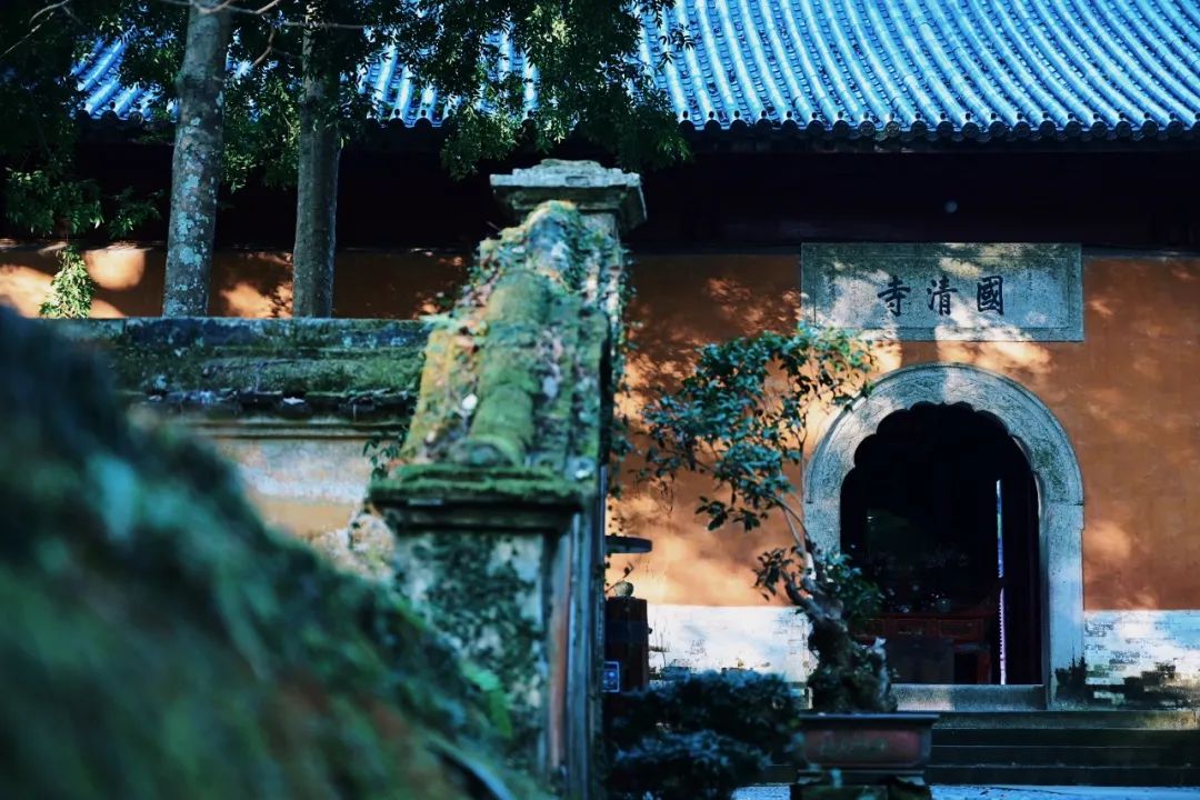 火热的周边游喂饱了本地生活,划算的周边游