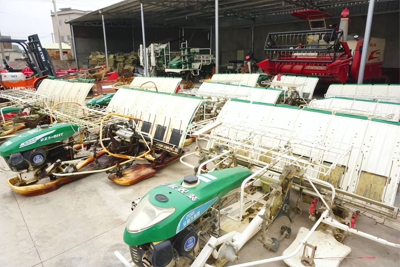 汕尾市农业水稻种植,汕尾水稻种植