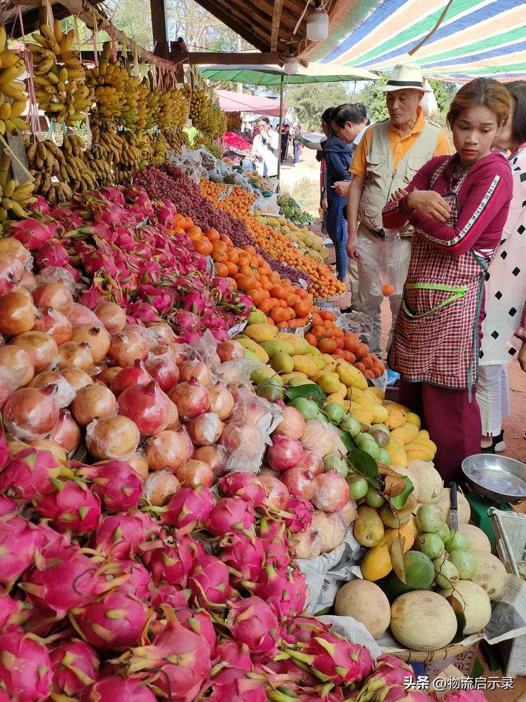 老挝准许进口农产品表,老挝水果有哪些