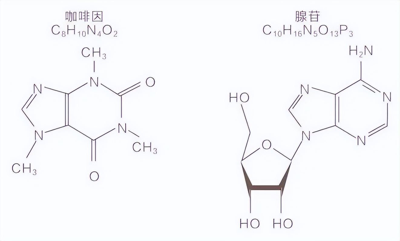 咖啡与咖啡之间的区别,咖啡贵贱区别