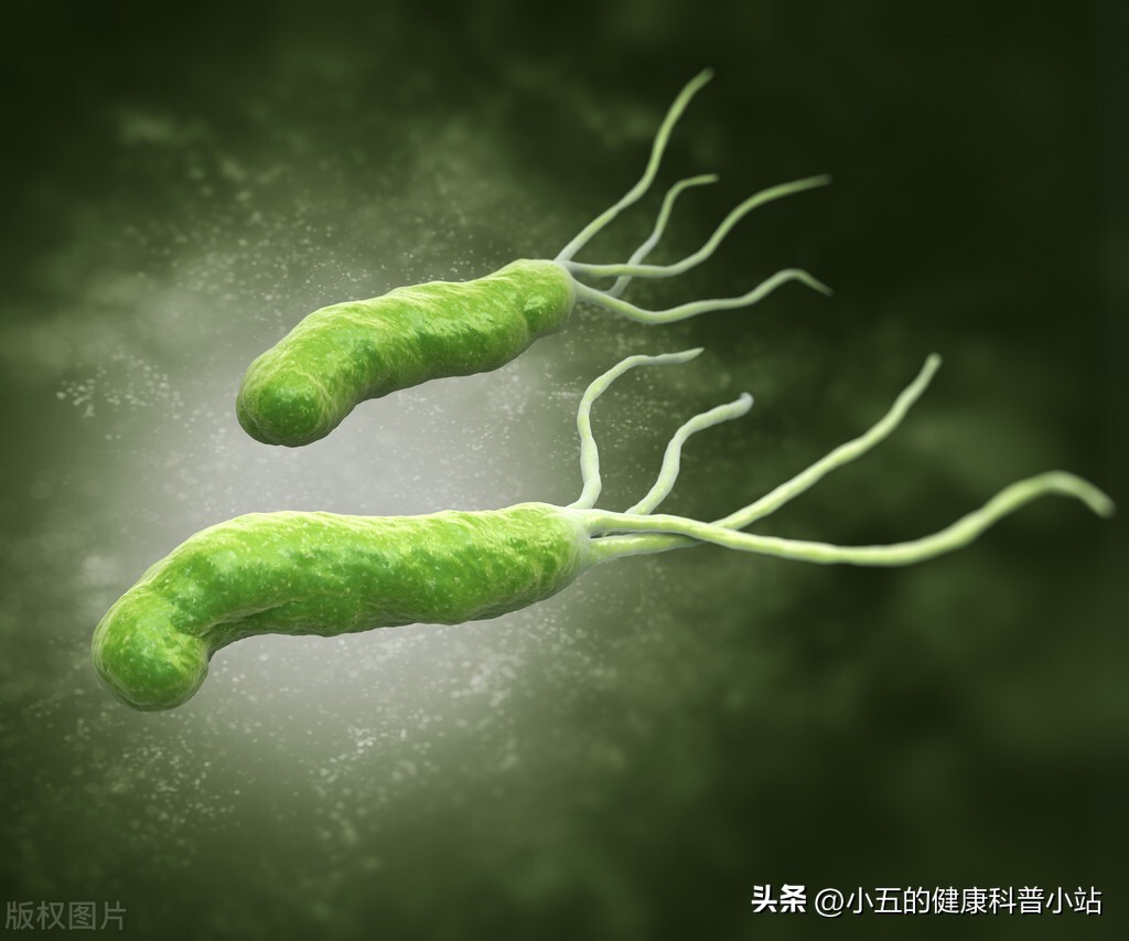 宝宝细菌性腹泻可以吃黄连素吗,复方黄连素片可以治疗细菌性腹泻吗