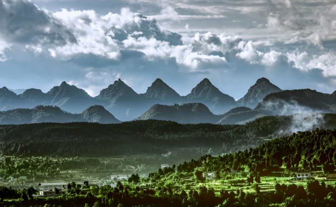 剑阁杯古树名木摄影大赛,保亭摄影比赛获奖作品