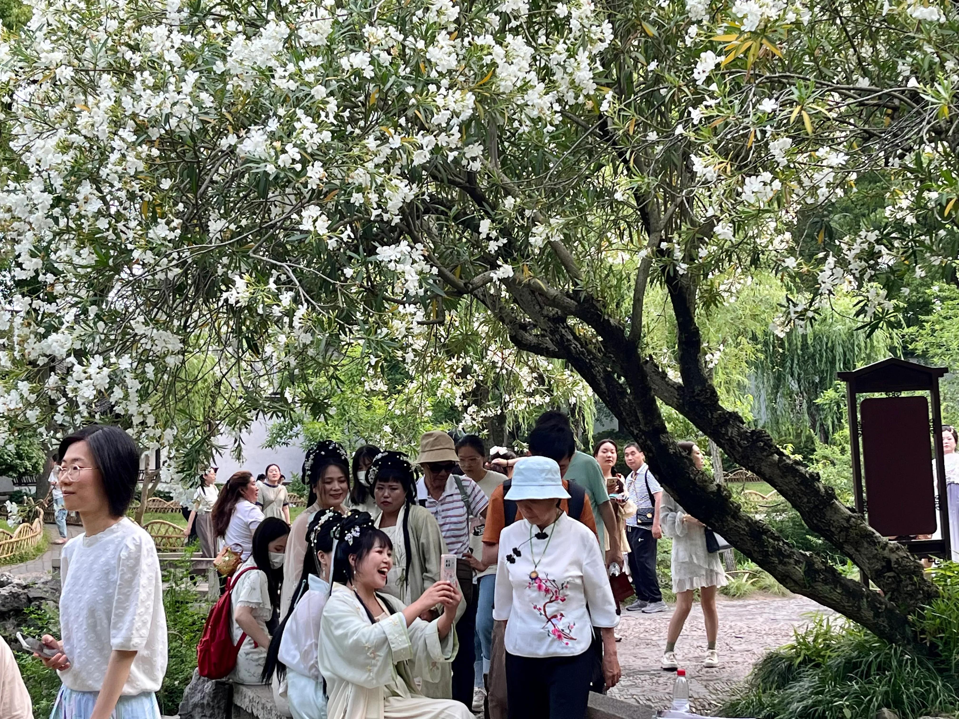 拙政园大隐隐于市,大隐隐于市安享中式庭院之美