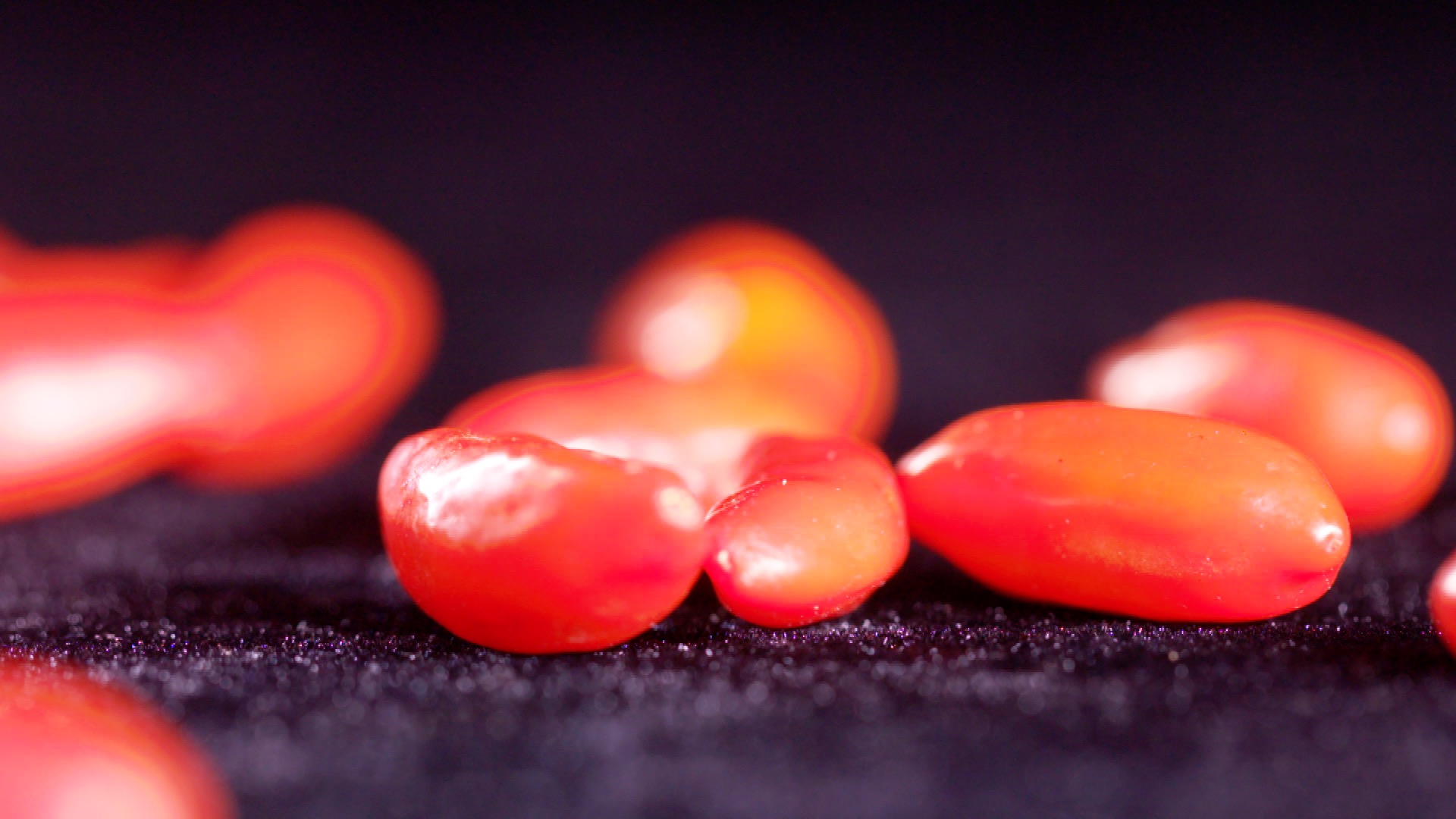 青藏高原诺木洪枸杞,青海诺木洪枸杞什么时候采摘结束