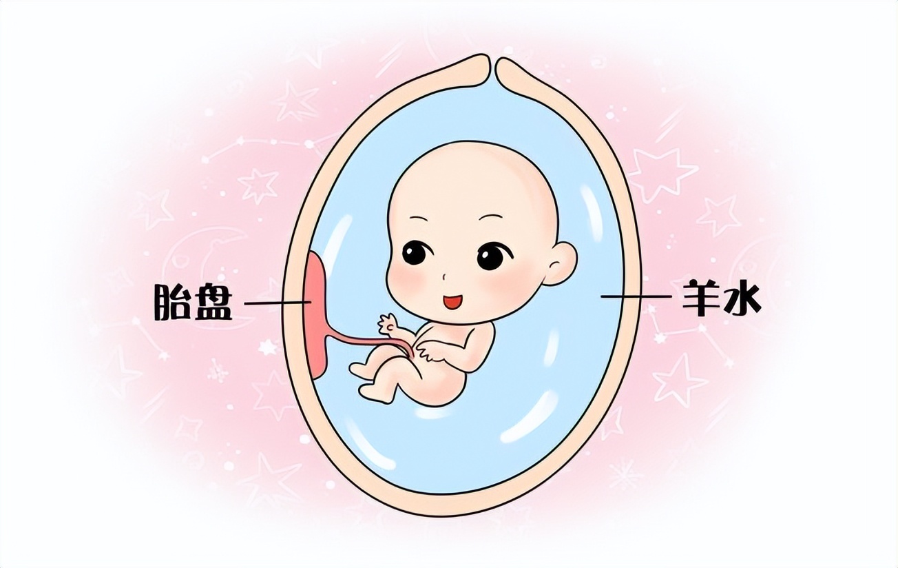 女儿孕期需喝椰子水，老爸买来一整车，这么喝真没问题吗？