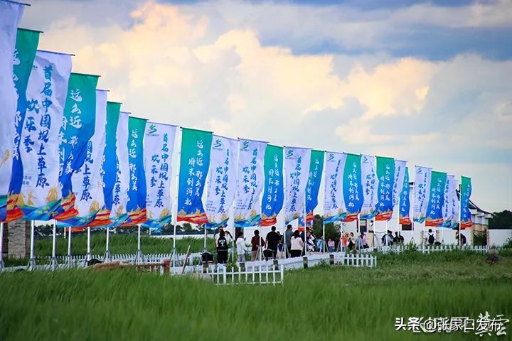 来坝上草原的第二天,坝上草原真实感受