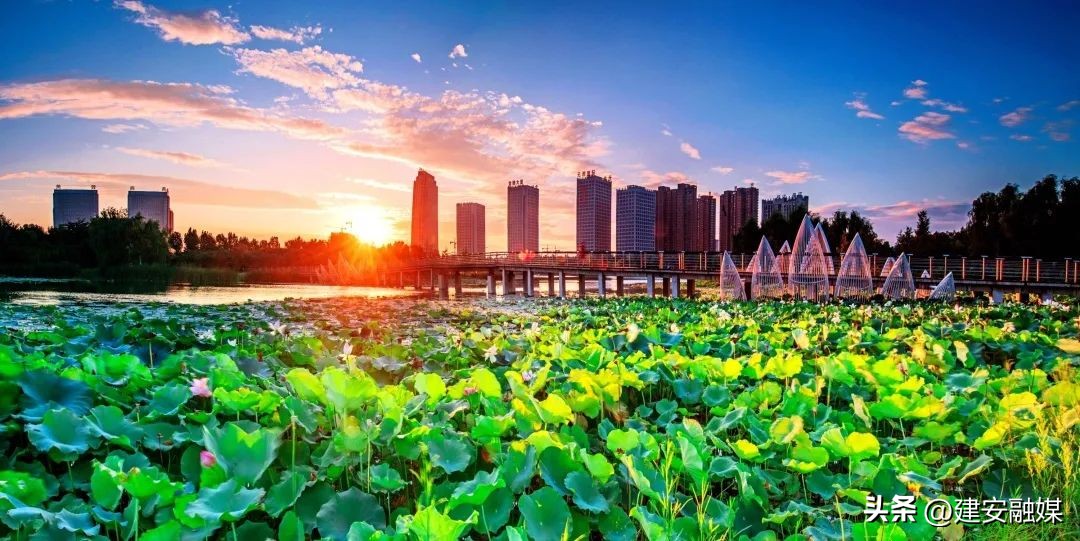 许昌：把所有开关拨到“拼经济”！