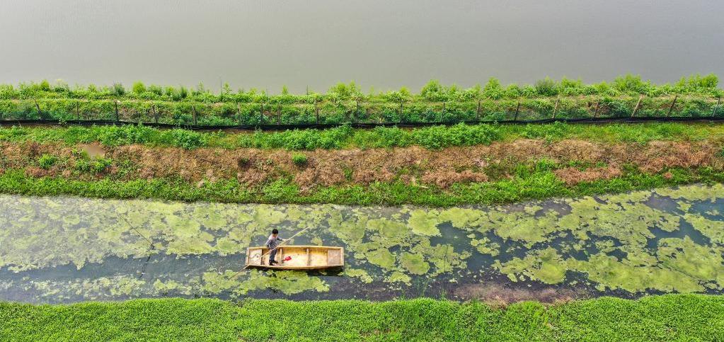 农业生态补偿机制,从生态效益说生态补偿的优缺点