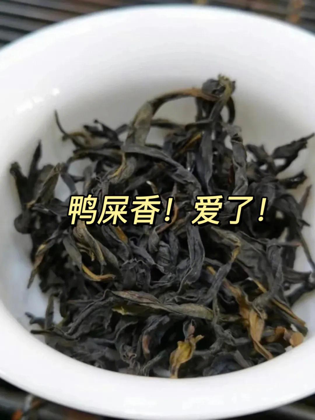 凤凰单丛冲泡技巧口诀,凤凰单丛的冲泡方法