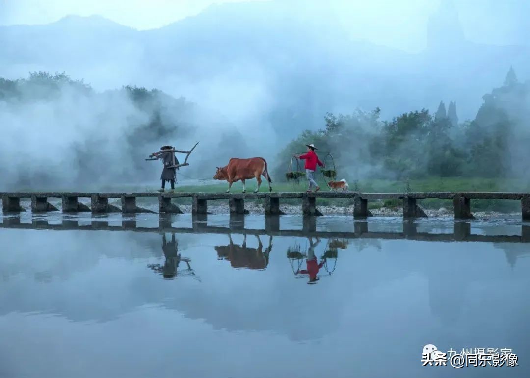 海阔凭鱼跃，天高任鸟飞---九州摄影浙江俱乐部优秀作品展