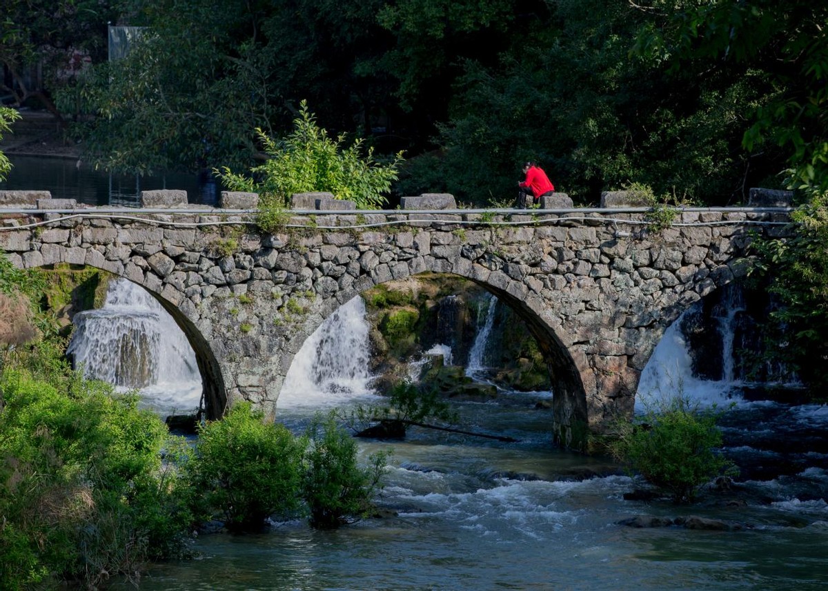 “天等”秋色也等你