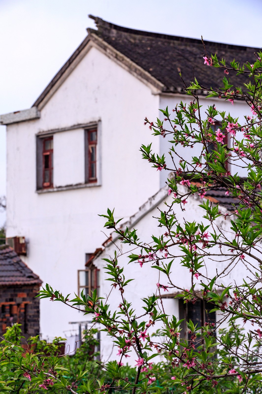沙家浜景区诗句,沙家浜芦荡在什么地方