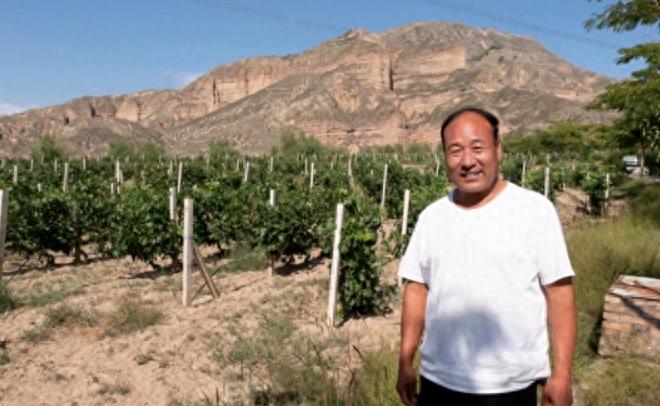 赵薇10年前斥资3640万购法国酒庄,每年销售5万瓶以上