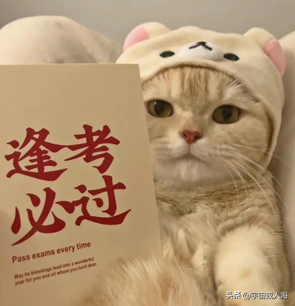 云南大学生考公准备,大学生考公什么时候准备