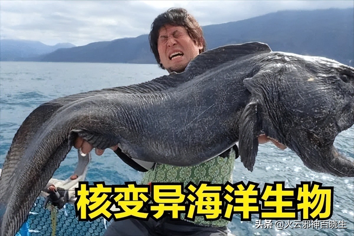 伊藤润二的漫画全集,伊藤润二惊选集富江