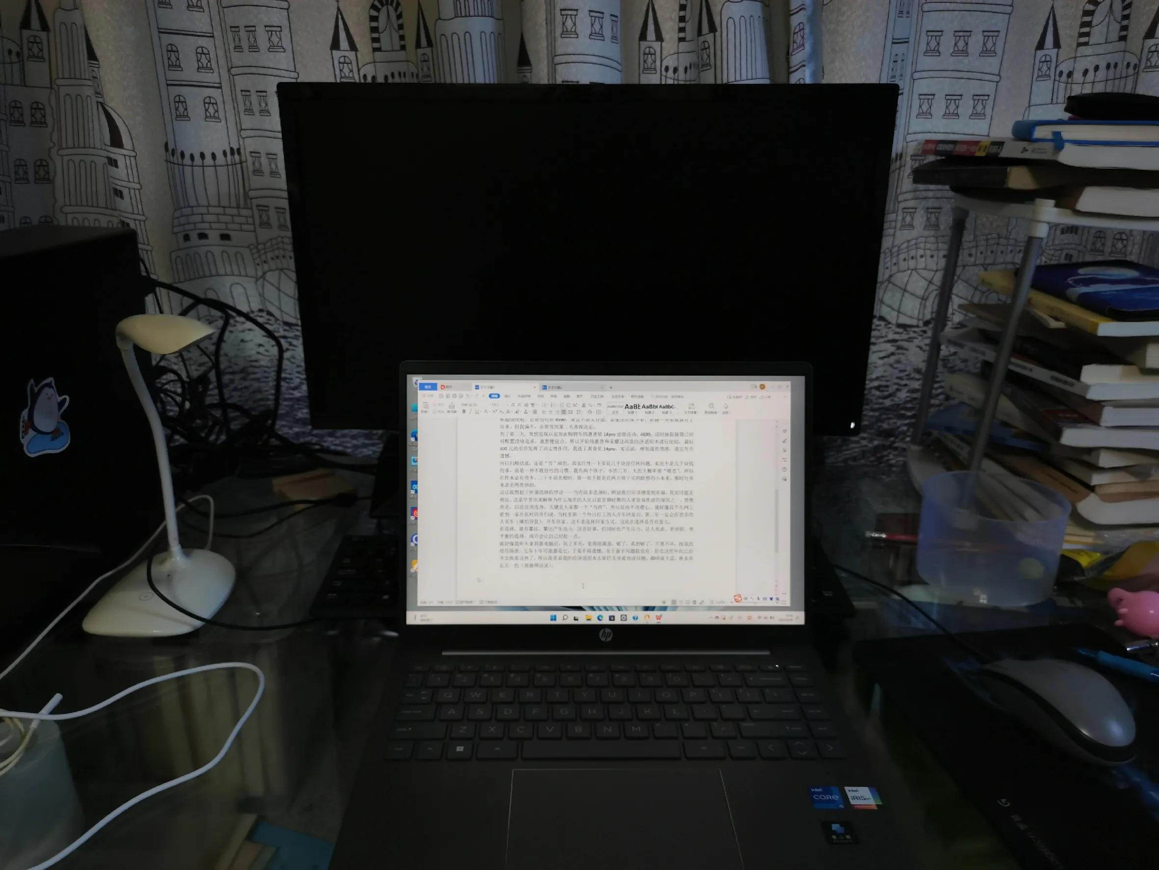 笔记本电脑好难选啊,选购笔记本电脑的建议