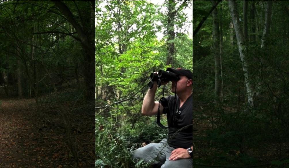 视得乐夜鹰测评,视得乐夜鹰