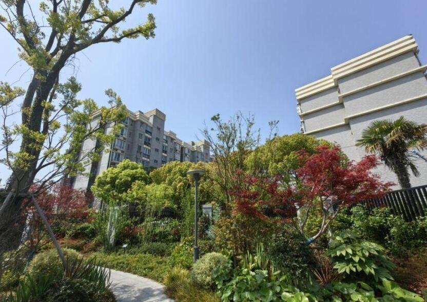 陆家嘴水岸廊桥装修效果图,陆家嘴水环建设