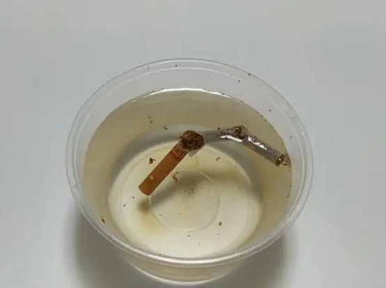 家里出现蚂蚁怎么物理消除,家里蚂蚁怎么都弄不死