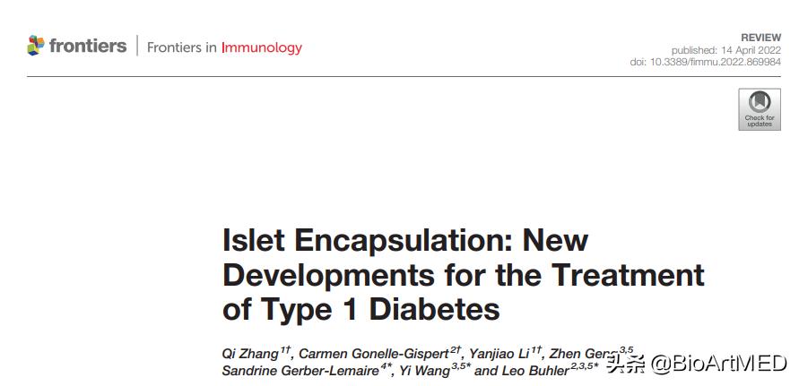 胰岛移植治疗1型糖尿病的前景,糖尿病胰岛细胞再生修复治疗
