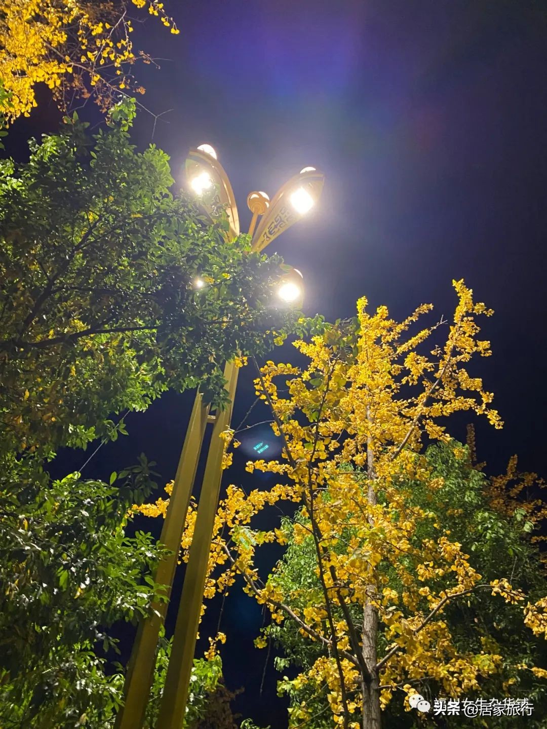 10/28,秋光漫漫下的码字