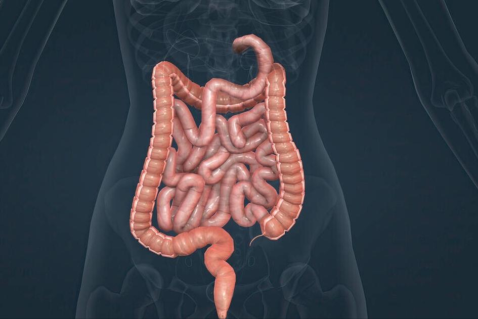 一直感觉大便拉不干净是怎么回事,大便感觉老是拉不干净是什么原因