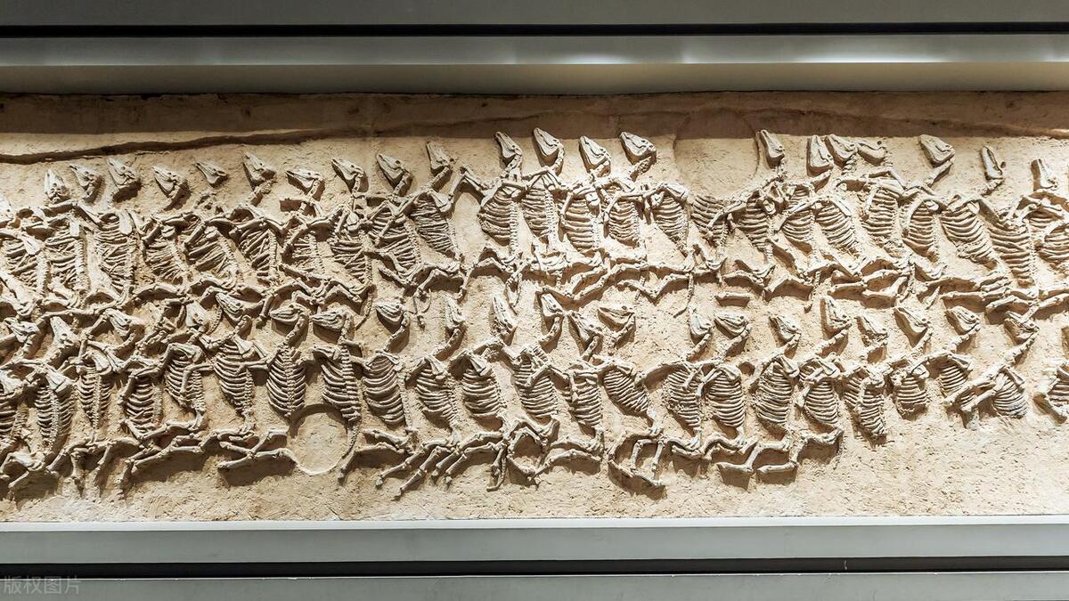 淄博旅游攻略自由行情侣,淄博跟团旅游攻略最新版