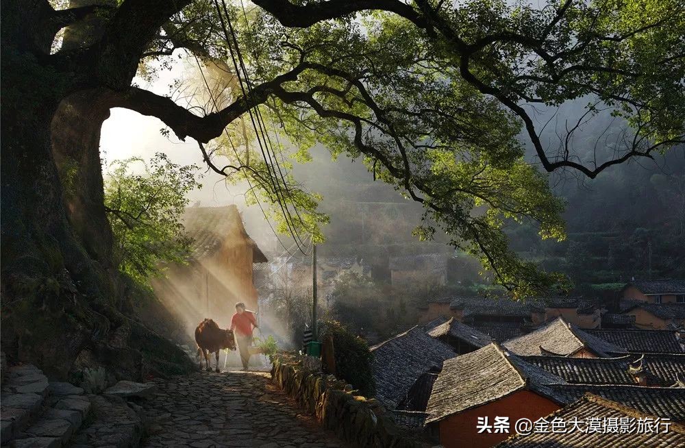 古堰瓯江帆影,古堰画乡赏瓯江帆影攻略