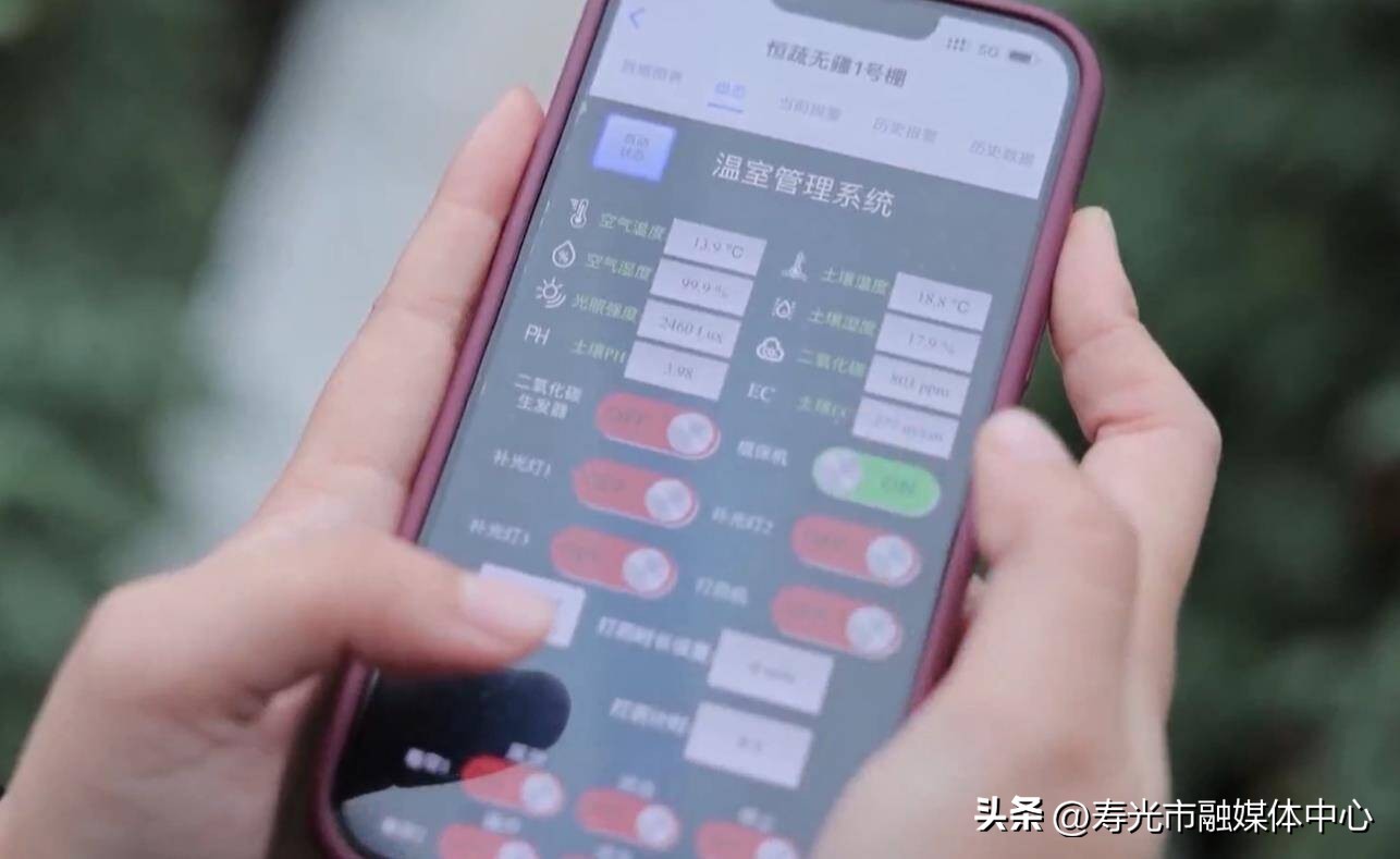 山东寿光高效农业发展情况,寿光农业农村2022年发展