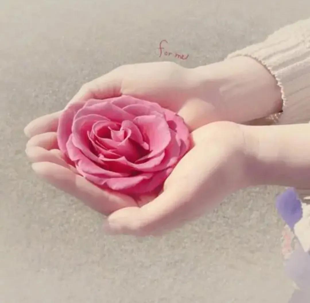 赠人玫瑰手有余香英文,赠人玫瑰手有余香下一句