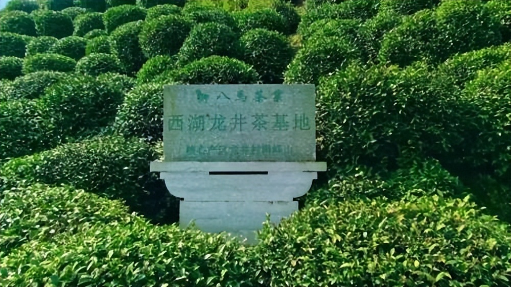 春天适合喝什么茶推荐,八马茶业和大益茶哪个更高档