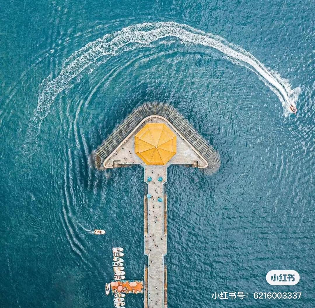 来青岛一定要打卡的地方四天,青岛五一必打卡花海推荐