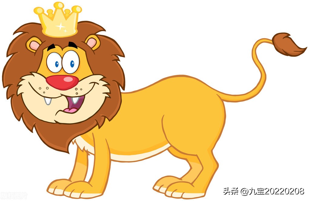 七宝鞋业,七宝鞋服