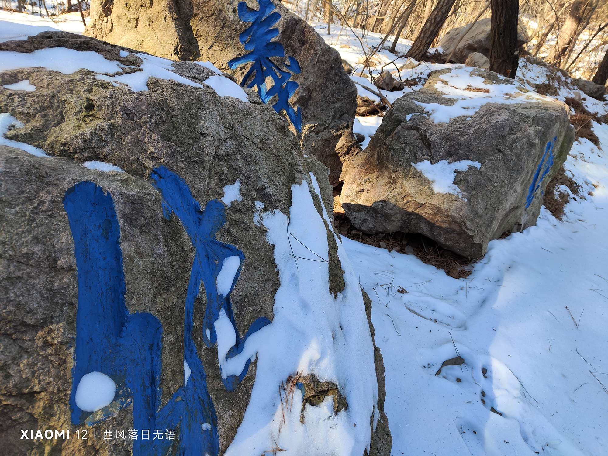 小米12哪一款更值得入手,小米12还值得入手么最新