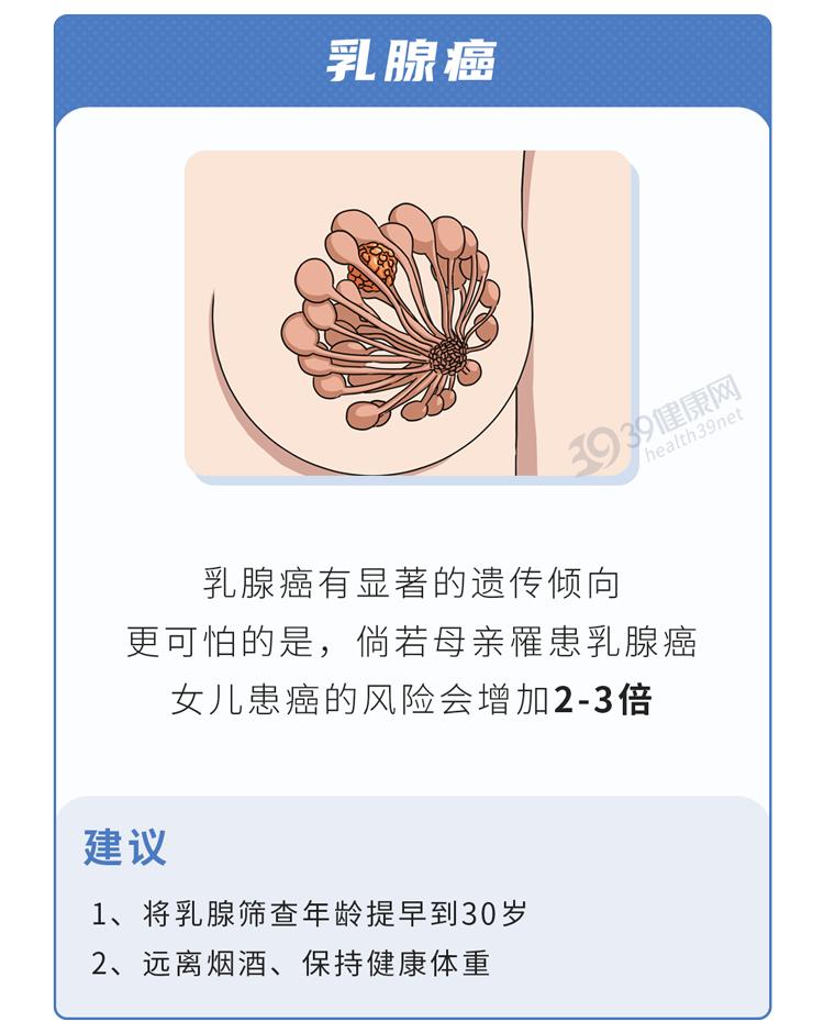 乳房越大是不是越容易得乳腺癌,胸大易得乳腺癌有科学依据吗
