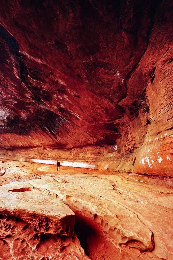 绿色狂想曲,绿色狂想曲三年级