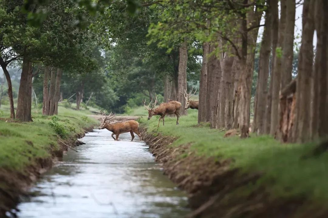 北京必打卡亲子博物馆,北京必打卡的历史建筑