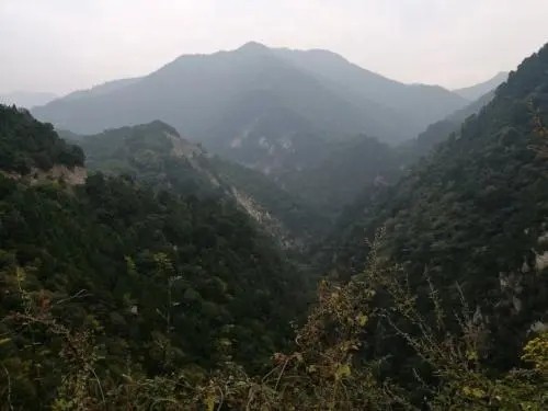 祖传毒蛇术招蛇视频,湖南村民招蛇术